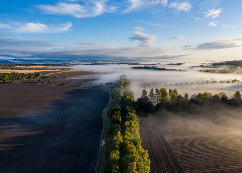 Perthshire Fields