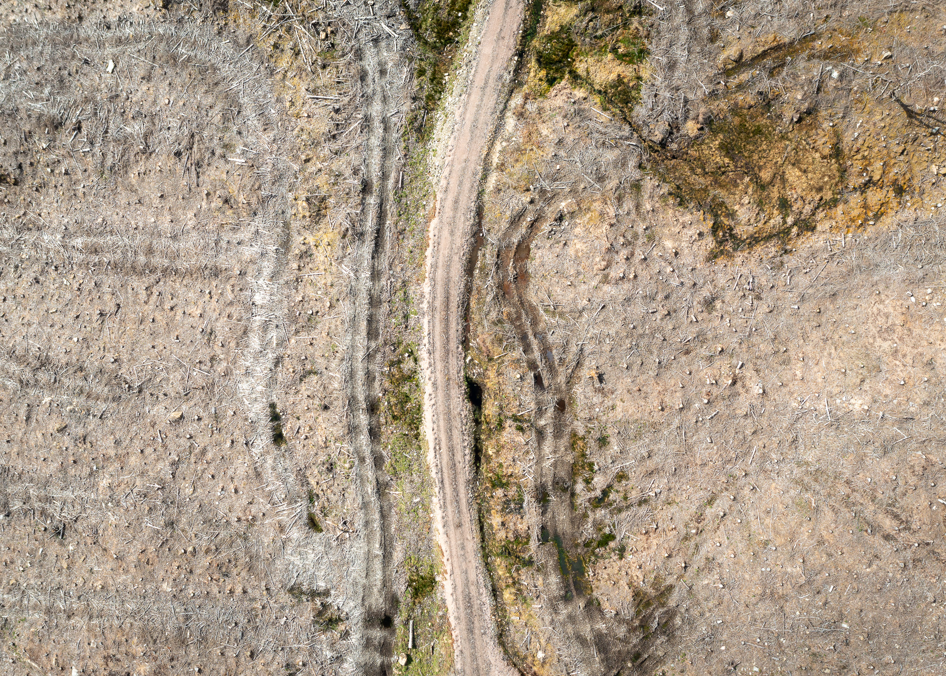 Clear Cut